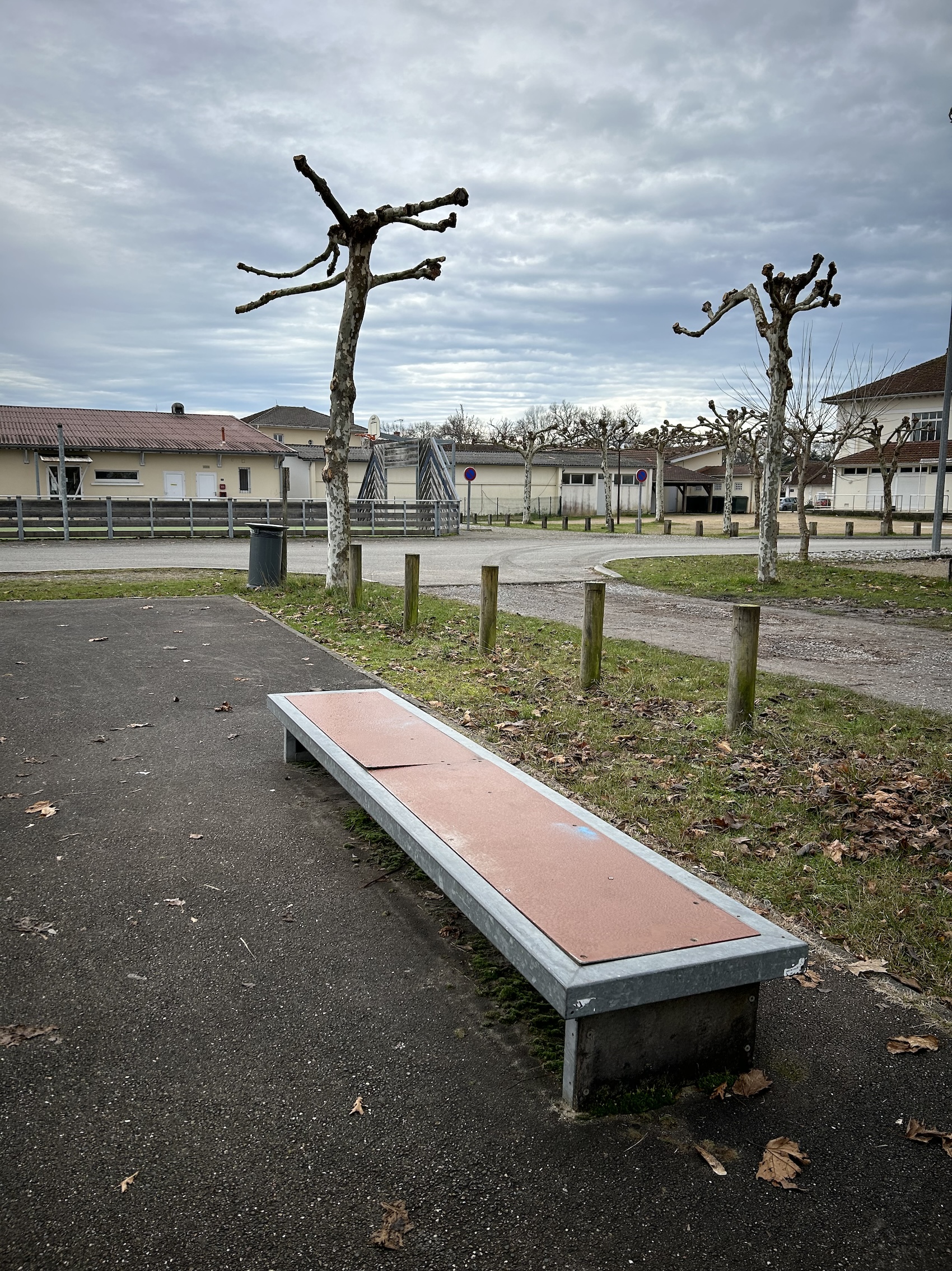 Saint-Julien-en-Born skatepark